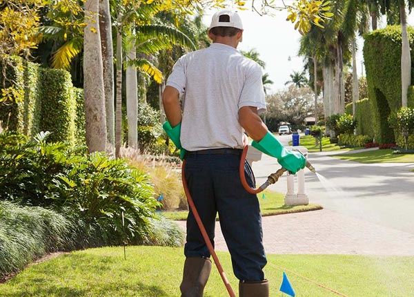 About Darby PA Pest Control Pros